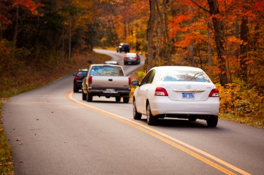 gobble up fuel savings on your next road trip with my trip