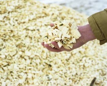 Wood waste such as this is frequently used to produce sustainable energy. Spero Energy, started by researchers at Purdue University, has created a cost effective process that converts sustainable wood sources into chemicals that improve the production of biofuels. | Photo by National Renewable Energy Laboratory Wood waste such as this is frequently used to produce sustainable energy. Spero Energy, started by researchers at Purdue University, has created a cost effective process that converts sustainable wood sources into chemicals that improve the production of biofuels. | Photo by National Renewable Energy Laboratory