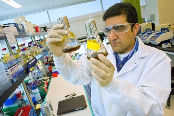Rajit Sapar analyzes samples at the Joint BioEnergy Institute's lab. | Photo by Roy Kaltschmidt at Lawrence Berkeley National Lab. Rajit Sapar analyzes samples at the Joint BioEnergy Institute's lab. | Photo by Roy Kaltschmidt at Lawrence Berkeley National Lab.