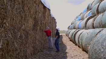 Farmer Bruce Nelson and a representative from biofuels company POET-DSM stand between square and round bales of corn stover stock piled outside of POET-DSMâs Project LIBERTY cellulosic ethanol biorefinery. Selling the corn plant residue after their corn harvest has generated a new revenue stream for many farmers, including Bruce. <a href="https://www.youtube.com/watch?v=GU0Cu45cLT4" target="_blank">Watch a video segment</a> about Bruceâs story at the beginning of the film âBioenergy: Americaâs Energy Future.â Farmer Bruce Nelson and a representative from biofuels company POET-DSM stand between square and round bales of corn stover stock piled outside of POET-DSMâs Project LIBERTY cellulosic ethanol biorefinery. Selling the corn plant residue after their corn harvest has generated a new revenue stream for many farmers, including Bruce. <a href="https://www.youtube.com/watch?v=GU0Cu45cLT4" target="_blank">Watch a video segment</a> about Bruceâs story at the beginning of the film âBioenergy: Americaâs Energy Future.â
