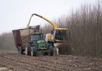 State University of New York College of Environmental Science and Forestry (SUNY-ESF) Project: The New Holland Forage Harvester fitted with the Short Rotation Woody Crop Coppice Header
State University of New York College of Environmental Science and Forestry (SUNY-ESF) Project: The New Holland Forage Harvester fitted with the Short Rotation Woody Crop Coppice Header