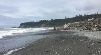 After two seawall breaches and associated disaster declarations, the Quinault Indian Nation, located on Washington's Olympic Peninsula, has decided to move two of its villages to safer, more climate-resilient locations. With the help of DOE, the Tribe is working to ensure that the relocated village of Taholah has a resilient energy system. Photo by Eliza Hotchkiss, NREL After two seawall breaches and associated disaster declarations, the Quinault Indian Nation, located on Washington's Olympic Peninsula, has decided to move two of its villages to safer, more climate-resilient locations. With the help of DOE, the Tribe is working to ensure that the relocated village of Taholah has a resilient energy system. Photo by Eliza Hotchkiss, NREL