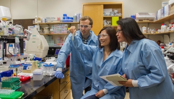 Researchers examine a "homemade" rare earth purification column packed with alginate beads with bioengineered microbes embedded in them. This LLNL-led effort holds promise for the development of an innovative, cost-effective, âgreenâ bio-adsorption technology to sequester and recover rare-earth elements from low-grade resources. From left: Dan Park, Suzanne Singer and Yongqin Jiao. Photos by Julie Russell/LLNL Researchers examine a "homemade" rare earth purification column packed with alginate beads with bioengineered microbes embedded in them. This LLNL-led effort holds promise for the development of an innovative, cost-effective, âgreenâ bio-adsorption technology to sequester and recover rare-earth elements from low-grade resources. From left: Dan Park, Suzanne Singer and Yongqin Jiao. Photos by Julie Russell/LLNL