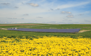 Westby, Wisconsin, is home to Clean Energy Collective's 305-kilowatt Vernon Electric Community Solar Farm. | Photo Courtesy: Clean Energy Collective Westby, Wisconsin, is home to Clean Energy Collective's 305-kilowatt Vernon Electric Community Solar Farm. | Photo Courtesy: Clean Energy Collective