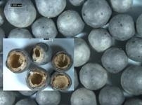 TerraCaps provide a novel method of encapsulating molten salt for increased thermal heat storage. 10- to 15-millimeter capsules provide high heat transfer surface. A void in the capsule accommodates the expansion of salt as it melts. Image from Terrafore TerraCaps provide a novel method of encapsulating molten salt for increased thermal heat storage. 10- to 15-millimeter capsules provide high heat transfer surface. A void in the capsule accommodates the expansion of salt as it melts. Image from Terrafore
