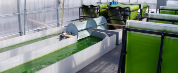 Superior Ecotech's technology uses algae to convert carbon dioxide resulting from brewing beer into omega-3 oils, which lowers carbon emissions for craft breweries. The teamâs long-term goal is to use its algae oils to produce clean, cost-effective, and renewable biofuels. | Photo courtesy of Superior Ecotech Superior Ecotech's technology uses algae to convert carbon dioxide resulting from brewing beer into omega-3 oils, which lowers carbon emissions for craft breweries. The teamâs long-term goal is to use its algae oils to produce clean, cost-effective, and renewable biofuels. | Photo courtesy of Superior Ecotech