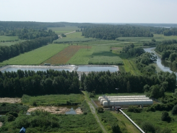Willow to the rescue - combining bioenergy with waste treatment. Image courtesy of Par Aronsson. Willow to the rescue - combining bioenergy with waste treatment. Image courtesy of Par Aronsson.