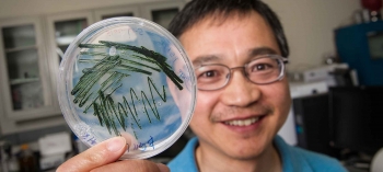 NREL researcher Dr. Jianping Yu holds a sample of cyanobacteria. Photo courtesy Dennis Schroeder/NREL. NREL researcher Dr. Jianping Yu holds a sample of cyanobacteria. Photo courtesy Dennis Schroeder/NREL.
