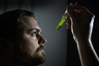 Ryan Davis and Sandia National Laboratories colleagues have developed a method to recycle critical and costly algae cultivation nutrients phosphate and nitrogen. Photo by Dino Vournas. Ryan Davis and Sandia National Laboratories colleagues have developed a method to recycle critical and costly algae cultivation nutrients phosphate and nitrogen. Photo by Dino Vournas.