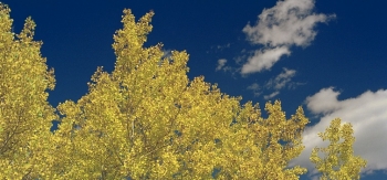 Donât let those bright autumn leaves and clear fall sky fool youâcold weather is just around the corner. Get your home ready for the chill ahead of schedule. <em>Photo by David Parsons, NREL 6317419</em> Donât let those bright autumn leaves and clear fall sky fool youâcold weather is just around the corner. Get your home ready for the chill ahead of schedule. <em>Photo by David Parsons, NREL 6317419</em>