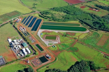 Aerial photograph of the companyâs algae test ponds in Kauai, Hawaii. | Photo courtesy of Global Algae Innovations, Inc. Aerial photograph of the companyâs algae test ponds in Kauai, Hawaii. | Photo courtesy of Global Algae Innovations, Inc.