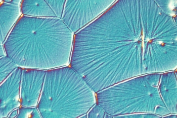 A close-up image of perovskite crystals, which just got one step closer to replacing silicon in solar panels. | Photo courtesy of Los Alamos National Laboratory. A close-up image of perovskite crystals, which just got one step closer to replacing silicon in solar panels. | Photo courtesy of Los Alamos National Laboratory.