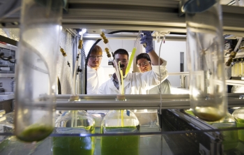 The Algae Technology Education Consortium (ATEC) is developing opportunities for education and training for next-generation jobs in the algal industry. | <em>Photo courtesy of ATEC</em> The Algae Technology Education Consortium (ATEC) is developing opportunities for education and training for next-generation jobs in the algal industry. | <em>Photo courtesy of ATEC</em>