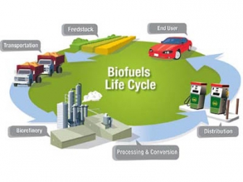 Researchers at Virginia Tech are working to show how biogasoline could potentially be created in existing petroleum refineries, instead of at new biorefineries as shown here. | File illustration Researchers at Virginia Tech are working to show how biogasoline could potentially be created in existing petroleum refineries, instead of at new biorefineries as shown here. | File illustration