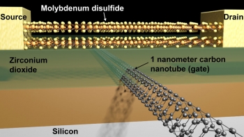 Scientists created the smallest transistor ever using molybdenum disulfide and a carbon nanotube. | Schematic image courtesy of Sujay Desai/UC Berkeley. Scientists created the smallest transistor ever using molybdenum disulfide and a carbon nanotube. | Schematic image courtesy of Sujay Desai/UC Berkeley.