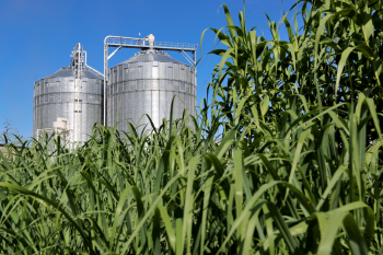 Switchgrass fields and facilities in East Tennessee. | Photo courtesy of ORNL Switchgrass fields and facilities in East Tennessee. | Photo courtesy of ORNL