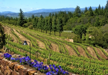 In 2005, nine cities and the County of Sonoma adopted a bold goal of a 25 percent reduction in greenhouse gas emissions from 1990 levels by 2015. Then in 2009, the Sonoma County Regional Climate Protection Authority (RCPA) was created as a clearinghouse for efforts to reduce greenhouse gas emissions, becoming the nationâs first local government agency created specifically to address climate change. â Photo courtesy of the Sonoma County Regional Climate Protection Authority. In 2005, nine cities and the County of Sonoma adopted a bold goal of a 25 percent reduction in greenhouse gas emissions from 1990 levels by 2015. Then in 2009, the Sonoma County Regional Climate Protection Authority (RCPA) was created as a clearinghouse for efforts to reduce greenhouse gas emissions, becoming the nationâs first local government agency created specifically to address climate change. â Photo courtesy of the Sonoma County Regional Climate Protection Authority.