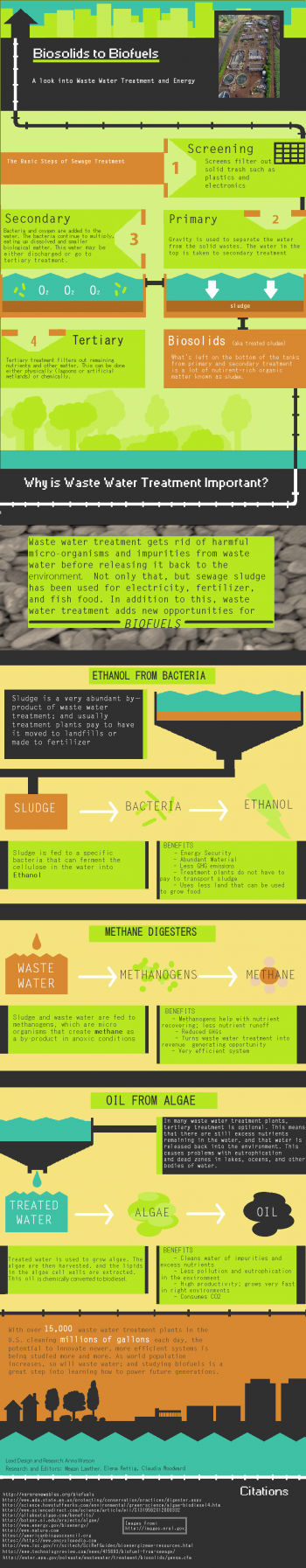 BIOENERGIZEME INFOGRAPHIC CHALLENGE: Biosolids to Biofuels ...