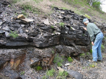 Geologist examining the base of the Marcellus Shale at an outcrop near Bedford, PA. Geologist examining the base of the Marcellus Shale at an outcrop near Bedford, PA.