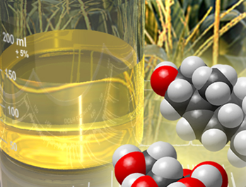 Archer Daniels Midland Company is manufacturing propylene glycol not with petroleum, but with plants such as soybeans and canola. Using renewable sources to make this commercially important additive reduces greenhouse gases by 61%. 140 jobs were created with this facility. Archer Daniels Midland Company is manufacturing propylene glycol not with petroleum, but with plants such as soybeans and canola. Using renewable sources to make this commercially important additive reduces greenhouse gases by 61%. 140 jobs were created with this facility.
