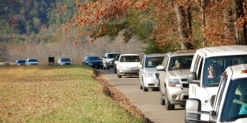You could be stuck in a traffic jam even while surrounded by beautiful wilderness. Make smart driving choices to reduce your environmental impact and reduce your fuel use and costs. | Photo courtesy of Melissa Howell/NREL. You could be stuck in a traffic jam even while surrounded by beautiful wilderness. Make smart driving choices to reduce your environmental impact and reduce your fuel use and costs. | Photo courtesy of Melissa Howell/NREL.