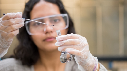 Argonne Organization S Scholarship Fund Blazes Stem Pathway Department Of Energy