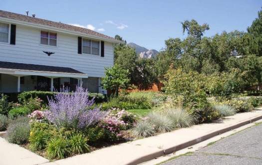 Landscaping Water Conservation Department Of Energy
