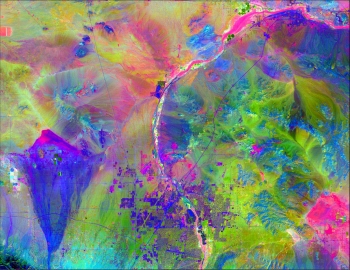 Mapping the Link between Invasive Plants and Wildfire in the Mojave Desert