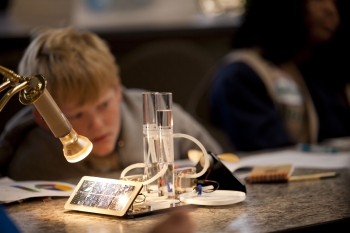 Scouting for Valuable Lessons in Energy