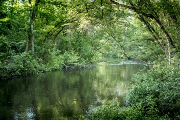 Three Runs River