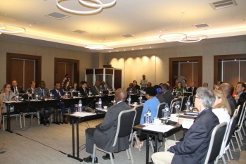 Understanding Natural Gas and LNG Options Workshop, Maputo Mozambique.
