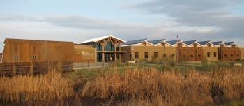 Image of the front of a light brown, yellow and tan net zero building with green grass in the background and tall golden grass in the foreground. A light blue sky looms above the building's roof line.