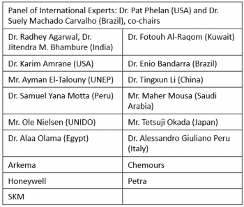 Panel of International Experts