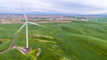 Complex terrain beneath a wind plant.