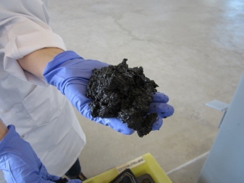 A hand holding sludge from Metro Vancouver's wastewater treatment plant.