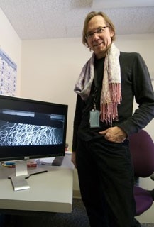 Ask a Scientist - Paul Allen Johnson