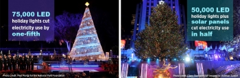 A Tale of Two Trees and their LEDS