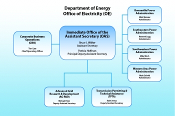 Chart showing OE organization