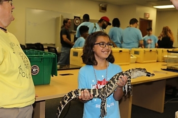 Savannah River Ecology Laboratory (SREL) employees have captured, marked, and released more than 1 million amphibians and reptiles representing 100 species, including this young American Alligator.