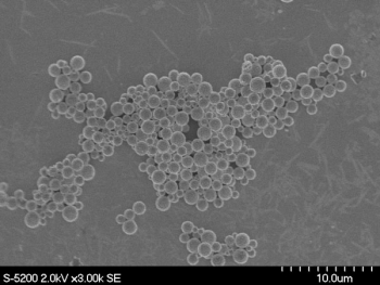 Under high-power microscopy, a powder made with detergent-based technology at Sandia National Laboratories consists of perfect spheres. This technology won an R&D 100 Award in 2018.