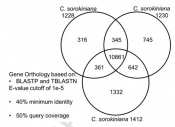 Figure 2. Comparative analysis of protein coding genes in the three Chlorella sorokiniana strains.