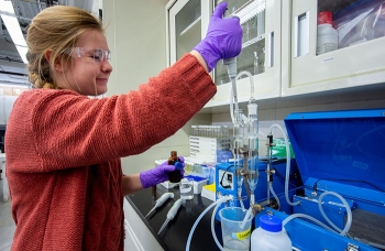 Researchers measure mercury levels of fish in the laboratory before returning them to the East Fork Poplar Creek.