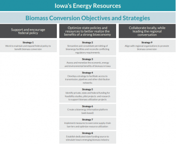 A three column graphic of biomass conversion objectives and strategies.