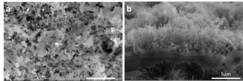 Figure 2: Scanning electron microscopy (SEM) image of BaCO3 nanoparticles washcoated ZnO nanoarray, (a) top view; (b) cross-section view.