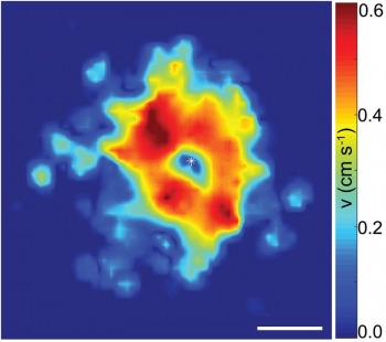 Color changes in this experimental snapshot track velocities of magnetic rollers comprising an emergent vortex. The fastest particles are located toward the center. Velocity scale is in centimeter/second. Scale bar is 2 μm. Color changes in this experimental snapshot track velocities of magnetic rollers comprising an emergent vortex. The fastest particles are located toward the center. Velocity scale is in centimeter/second. Scale bar is 2 μm.