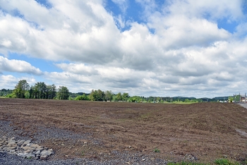 A view of the Building K-29 pad following the recently completed slab removal project.