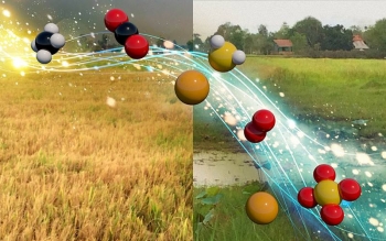 Carbon and energy balances may prove to be a simplified way to predict microbial functions in soils that are often flooded and how such functions effect climate, soil health, and crop productivity. Carbon and energy balances may prove to be a simplified way to predict microbial functions in soils that are often flooded and how such functions effect climate, soil health, and crop productivity.