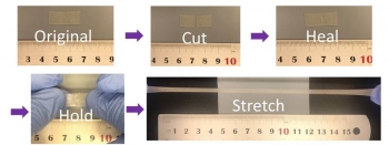 Scientists demonstrate the polymer healing process and recovery of extreme stretchability. Scientists demonstrate the polymer healing process and recovery of extreme stretchability.