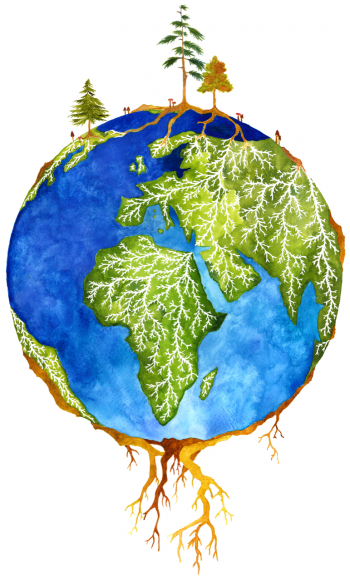 Forests and microbes are symbiotically connected globally. Forests and microbes are symbiotically connected globally.