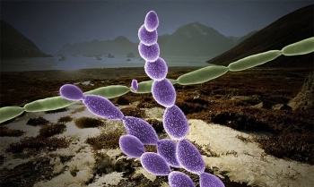 An international team tracked the genomic composition of microbes in thawing permafrost to determine which had the greatest impact on releases of carbon dioxide and methane into the atmosphere. An international team tracked the genomic composition of microbes in thawing permafrost to determine which had the greatest impact on releases of carbon dioxide and methane into the atmosphere.